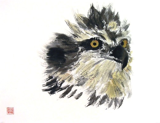 Toinette Lippe painting - Osprey